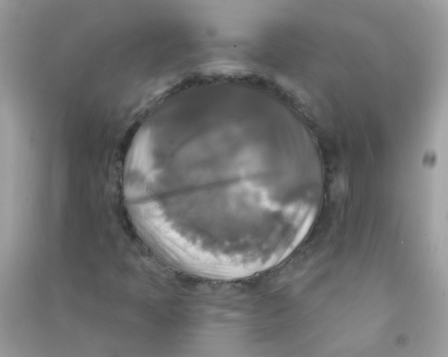 X0000090771397200708172058