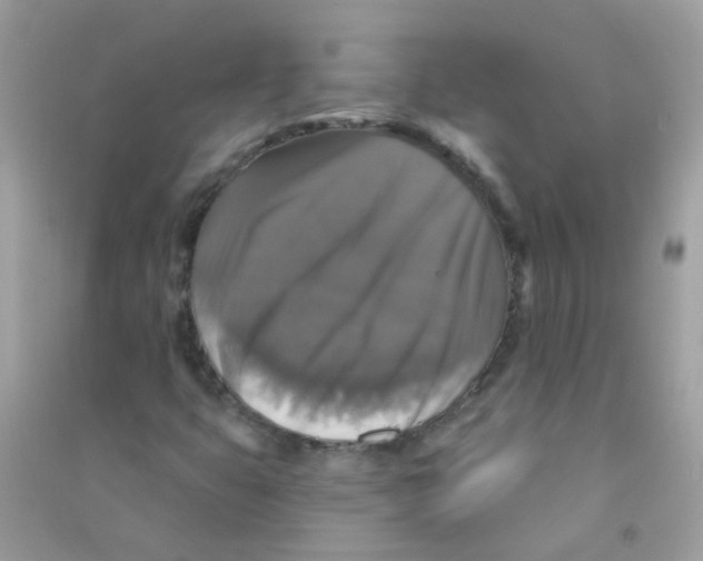 X0000090771399200708172058