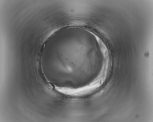X0000090771401200708172058