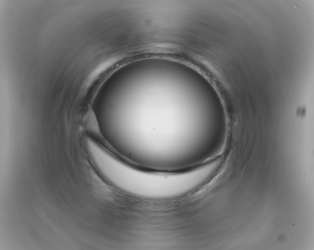 X0000090771402200708172058