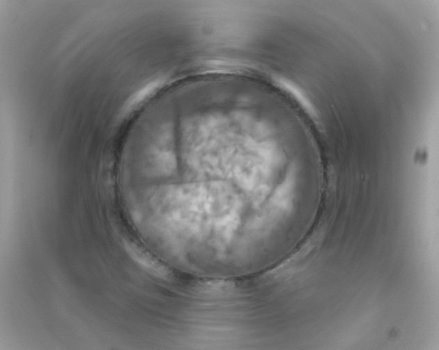 X0000090771403200708172058