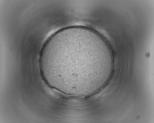 X0000090771404200708172059