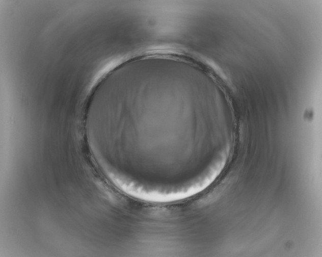 X0000090771405200708172059