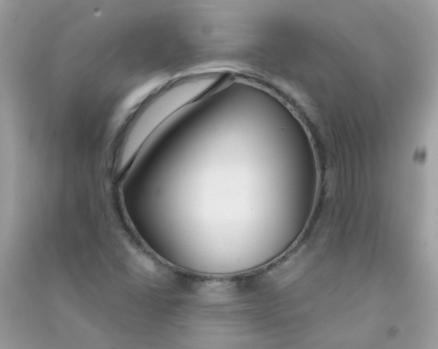 X0000090771406200708172059