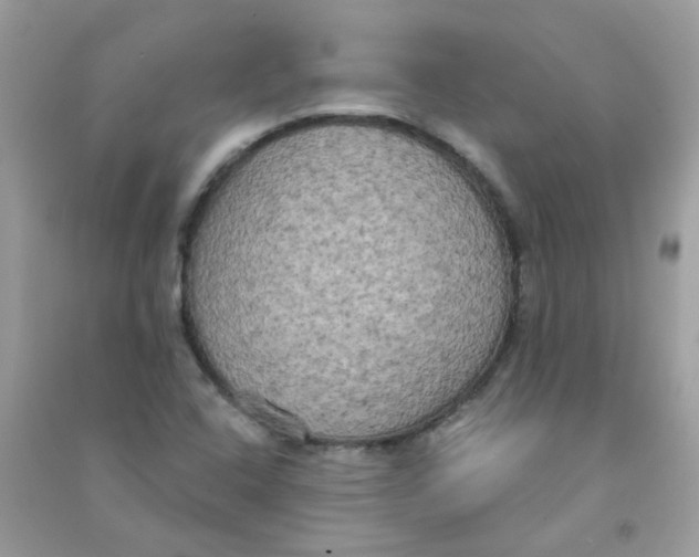 X0000090771408200708172059