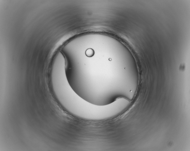 X0000090771410200708172059