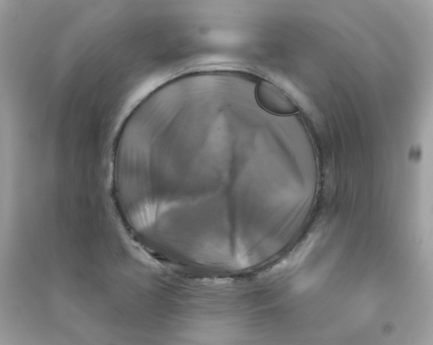 X0000090771413200708172059