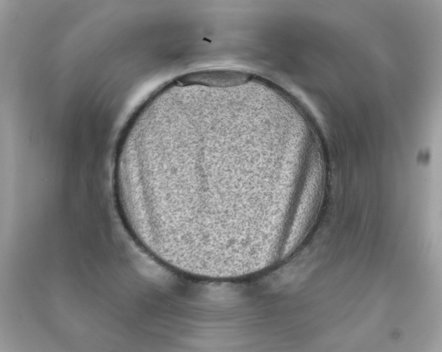 X0000090771416200708172059