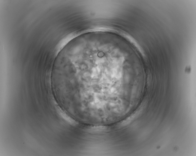 X0000090771417200708172059