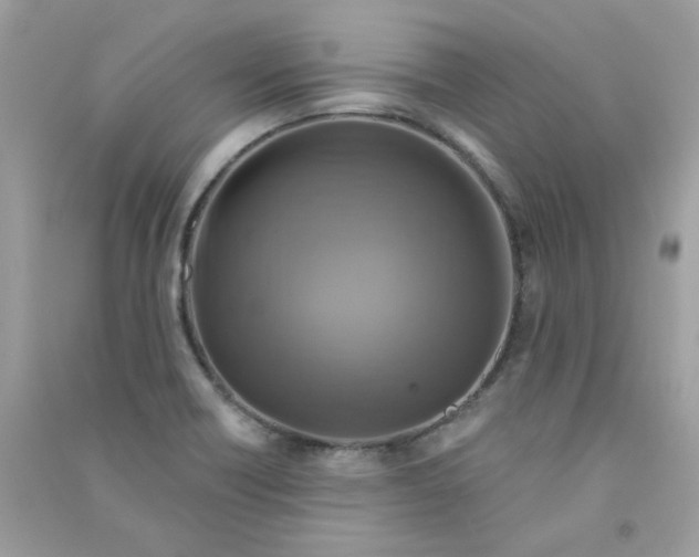 X0000090771418200708172059