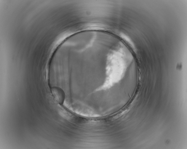 X0000090771419200708172059