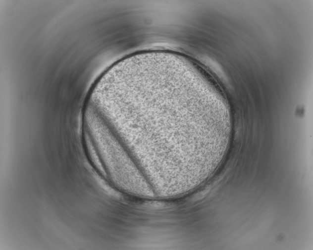 X0000090771420200708172059