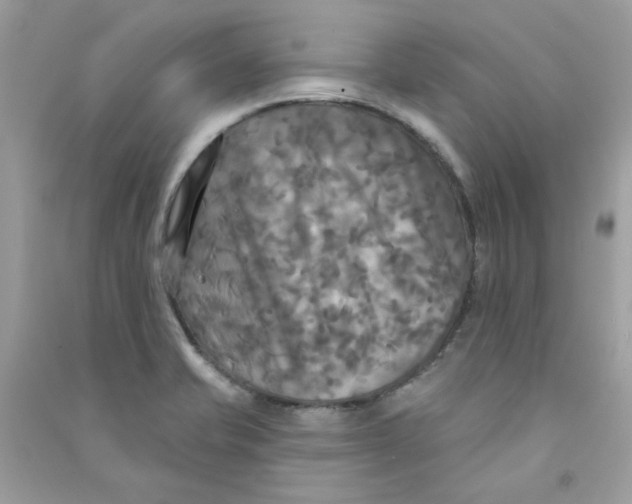 X0000090771421200708172059