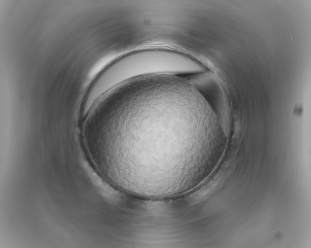 X0000090771422200708172059