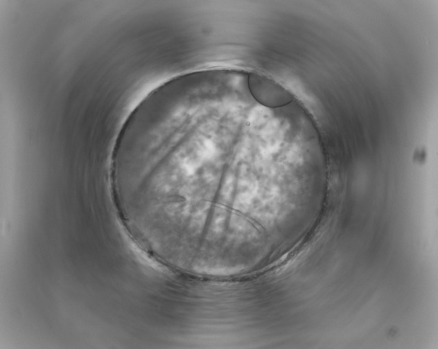 X0000090771423200708172059