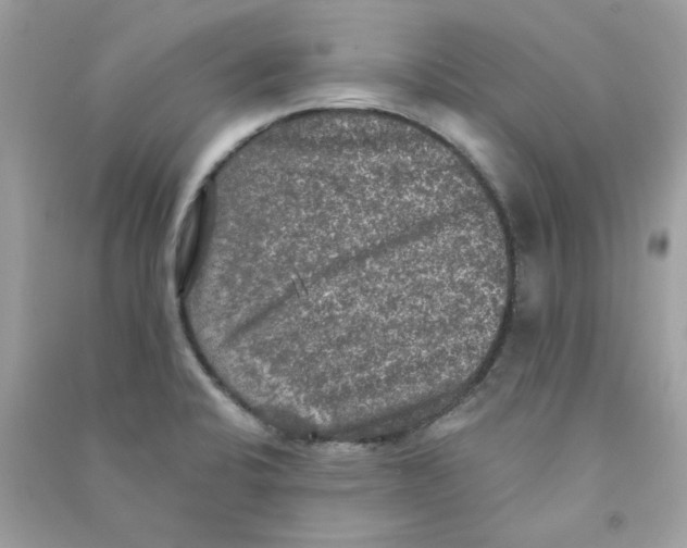 X0000090771424200708172059
