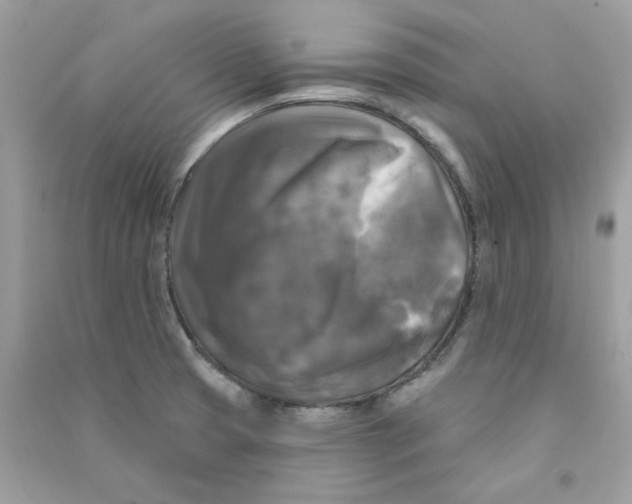 X0000090771425200708172059