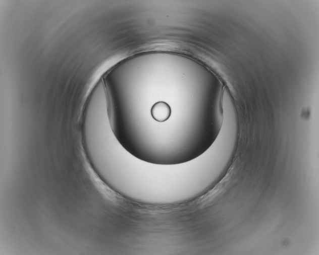 X0000090771426200708172059