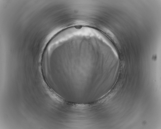 X0000090771427200708172059