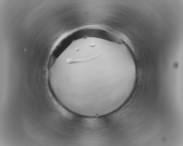 X0000090771428200708172059