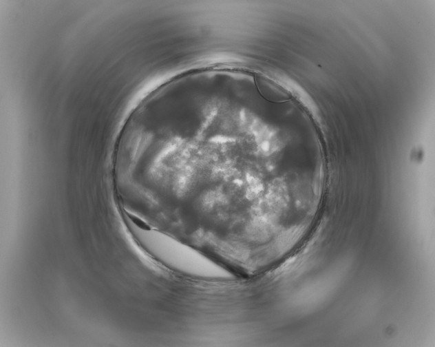 X0000090771429200708172059