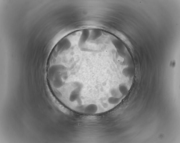X0000090771431200708172059