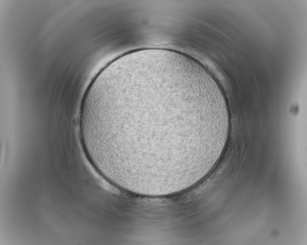 X0000090771432200708172059