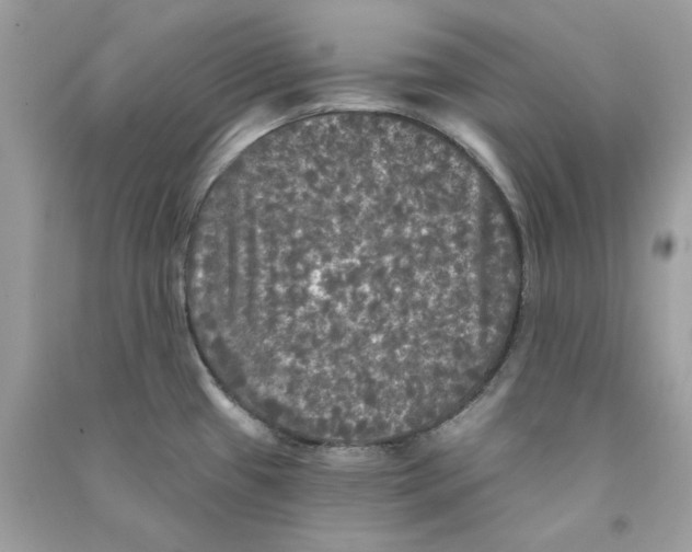 X0000090771433200708172059