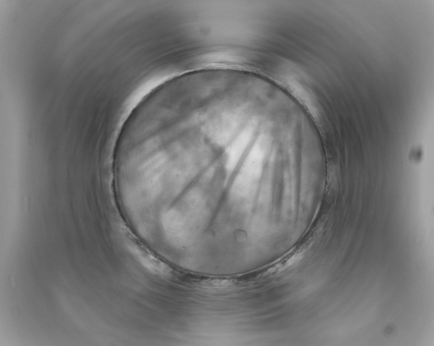 X0000090771435200708172059