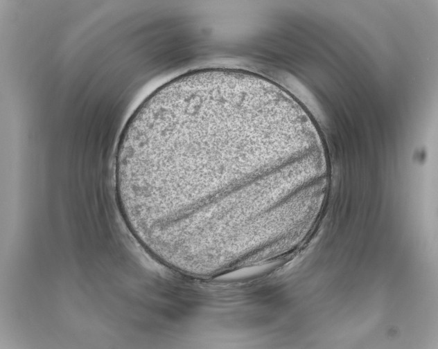 X0000090771436200708172059