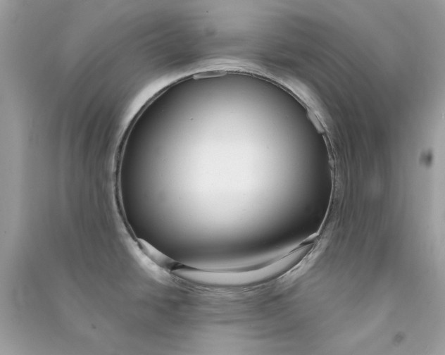 X0000090771438200708172059