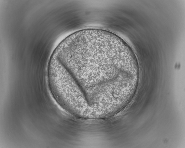 X0000090771440200708172059