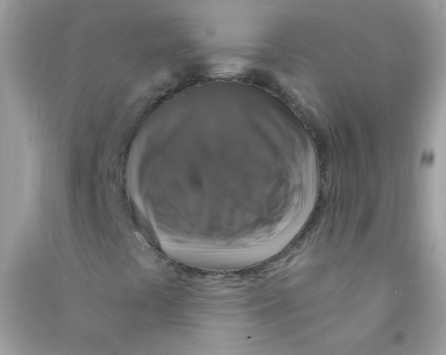 X0000090771441200708172058