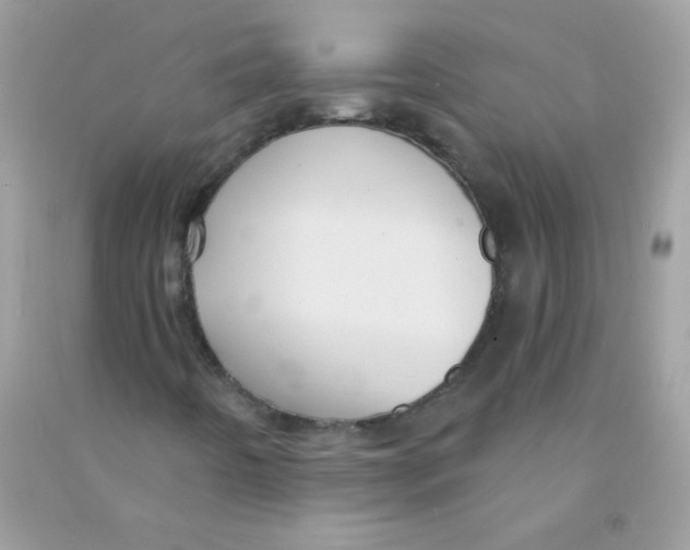 X0000090771442200708172058