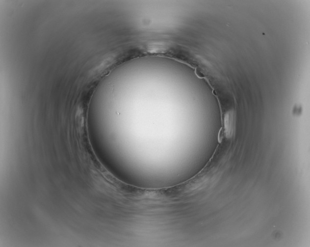 X0000090771443200708172058