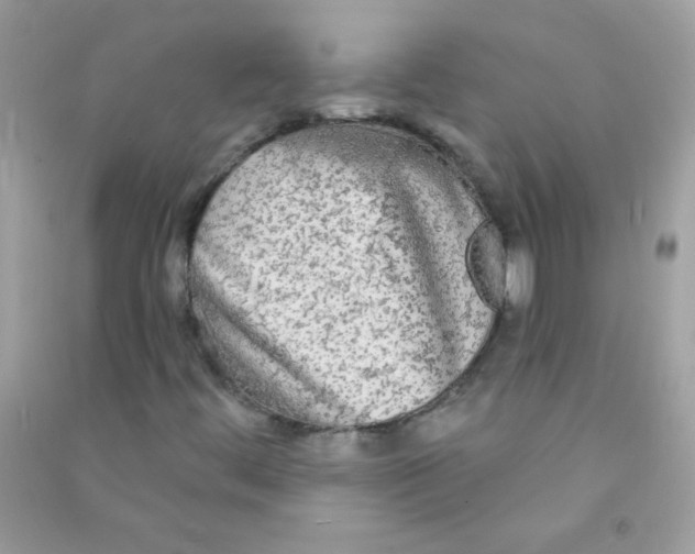 X0000090771444200708172058