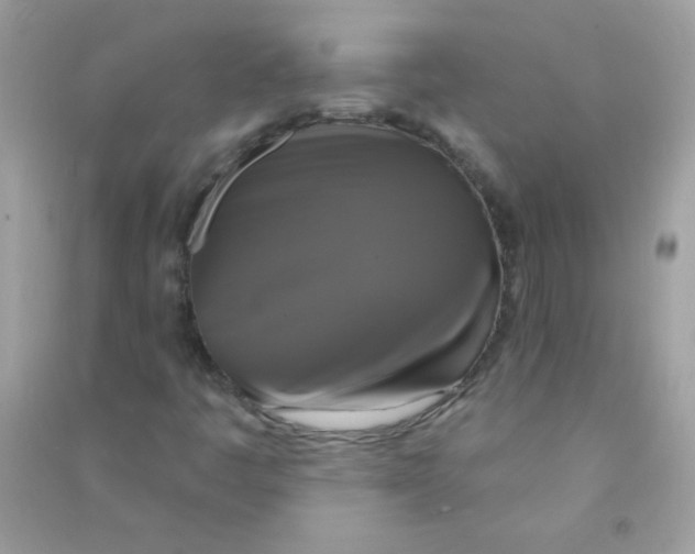 X0000090771445200708172058