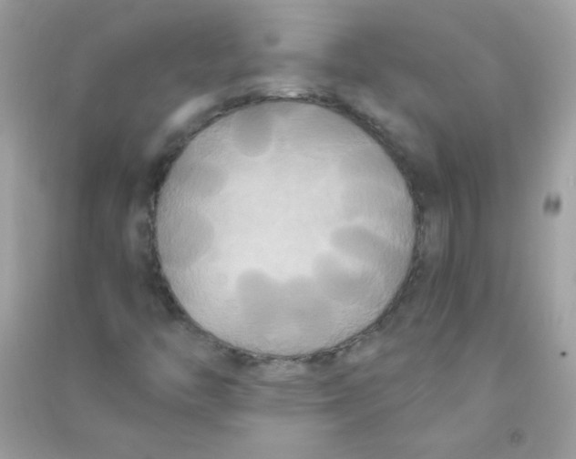 X0000090771446200708172058