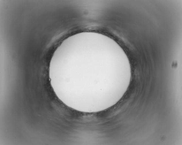 X0000090771447200708172058