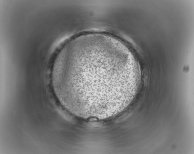 X0000090771448200708172058