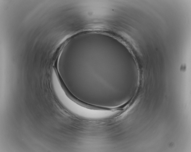 X0000090771449200708172058