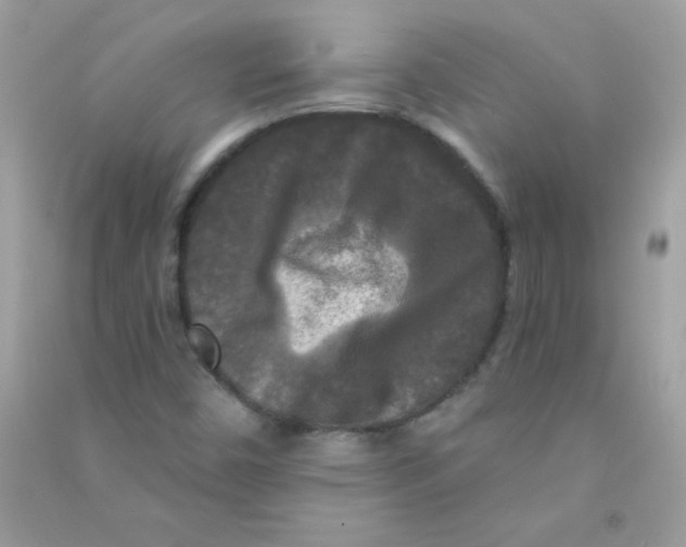 X0000090771450200708172058