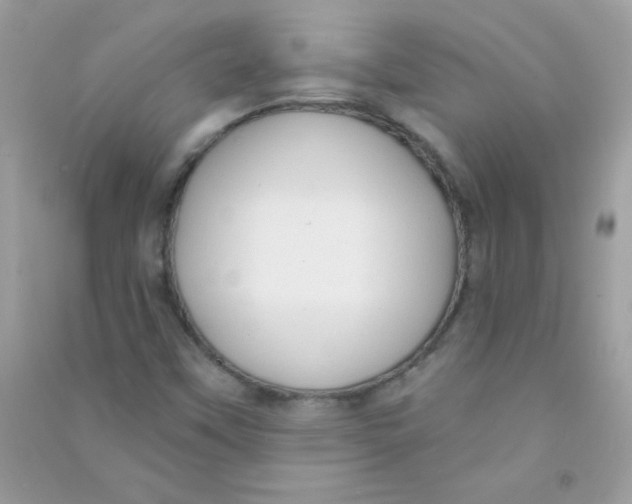 X0000090771451200708172058