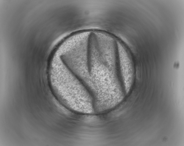 X0000090771452200708172058