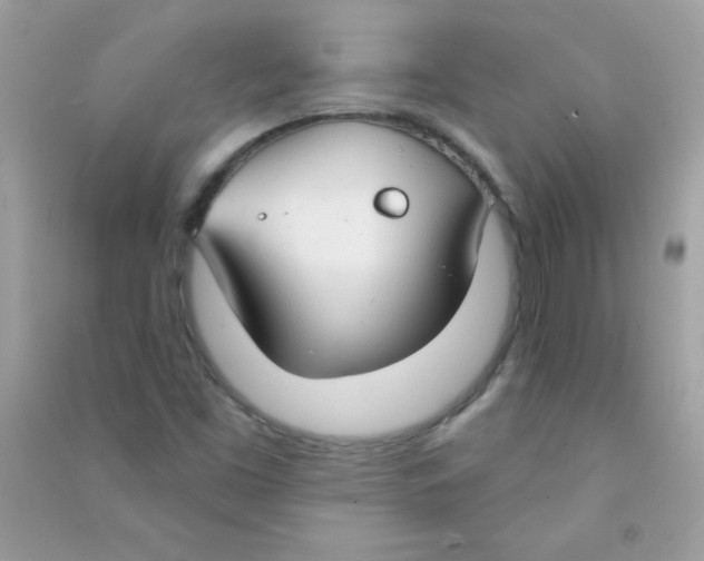 X0000090771453200708172058