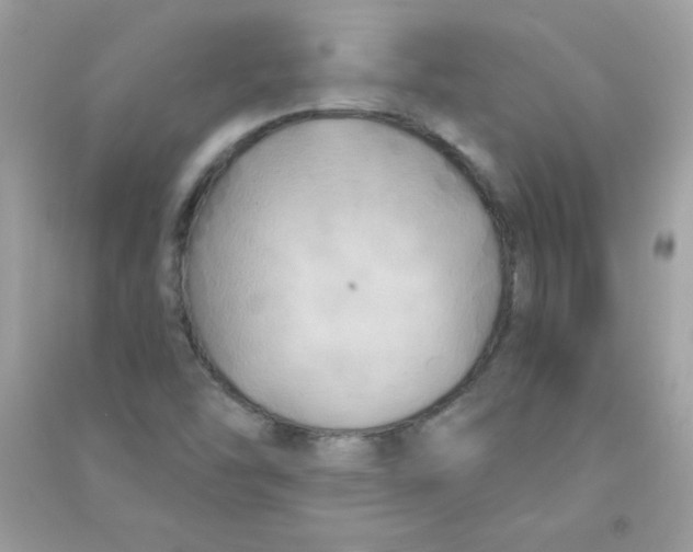 X0000090771454200708172058