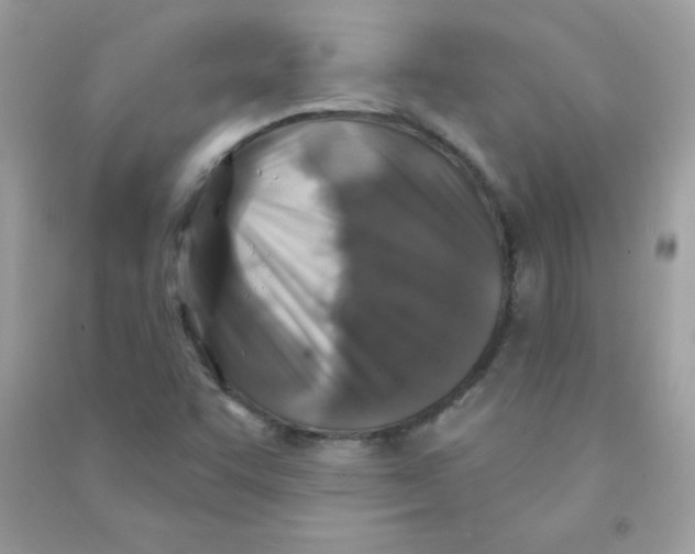X0000090771455200708172058