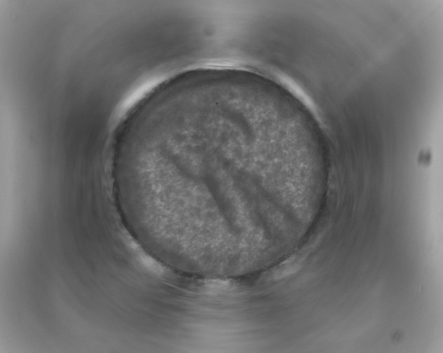 X0000090771456200708172058