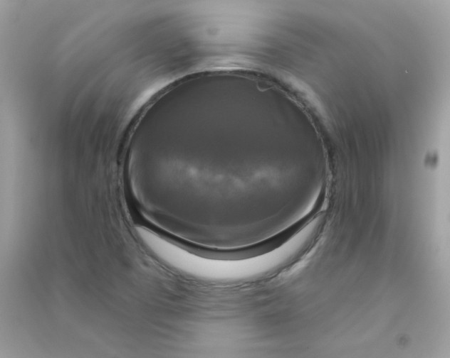 X0000090771457200708172058