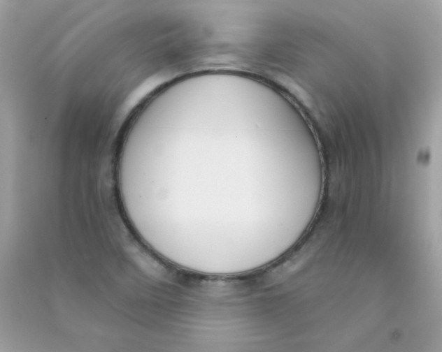 X0000090771458200708172058